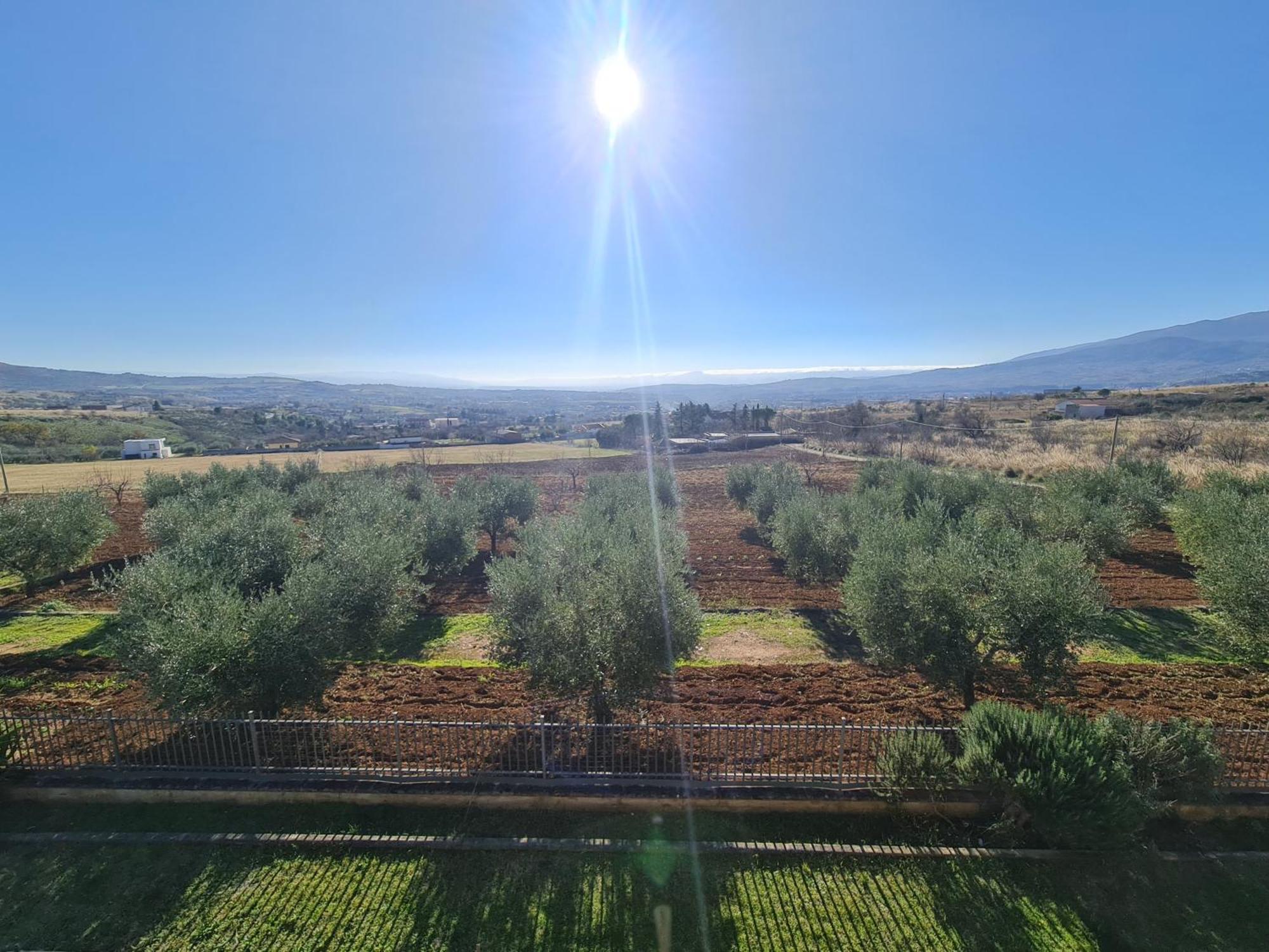 B&B La Petrosa Frascineto Εξωτερικό φωτογραφία